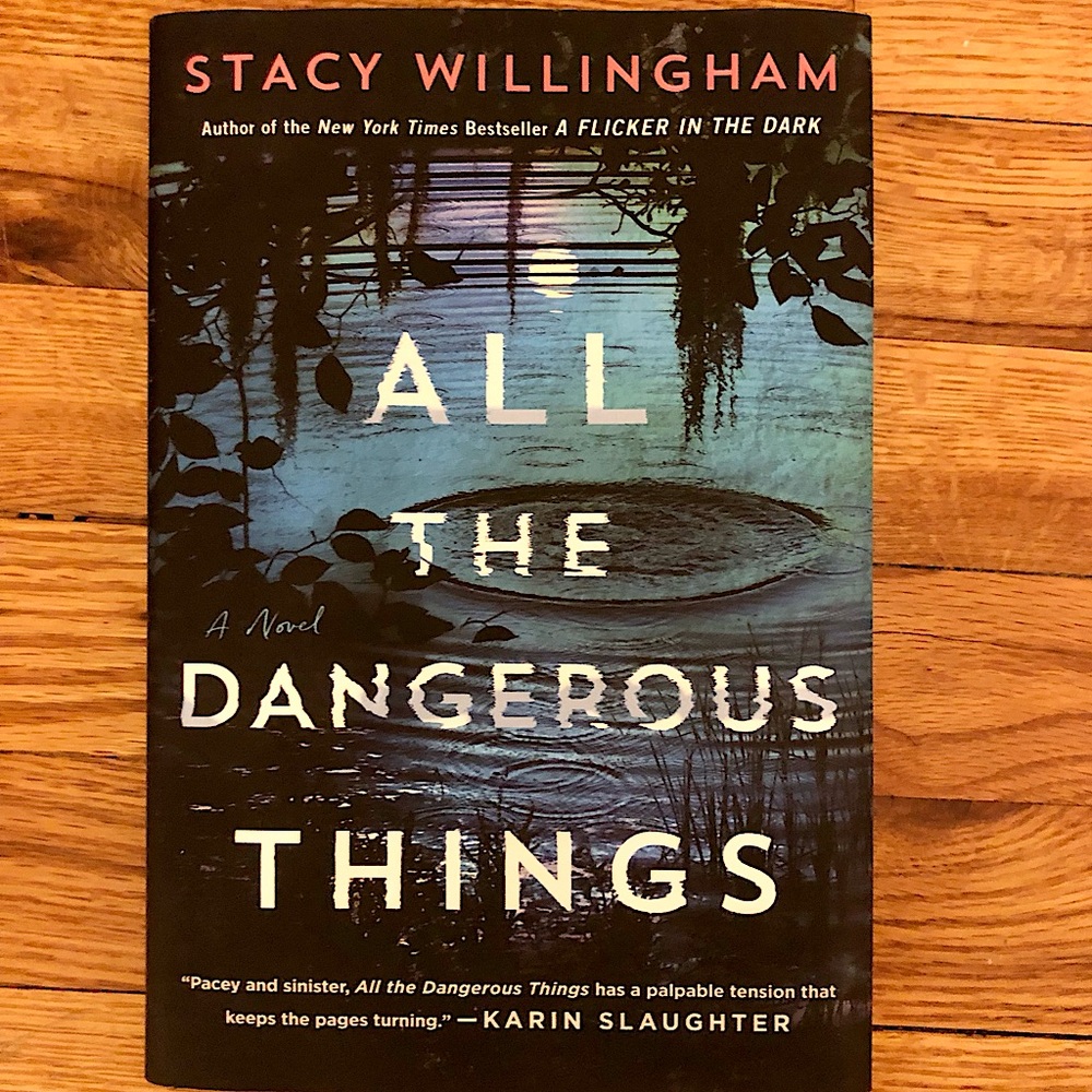 All the Dangerous Things by Stacy Willingham